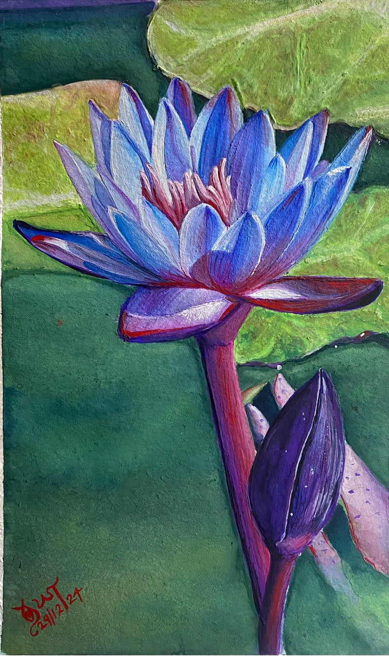 Lily at dawn